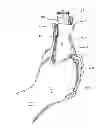 Fig. 01 - Apparatus for insulating and/or carrying a beverage container