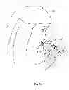 Fig. 08 - CONTAINER FOR VISCOUS COMESTIBLES