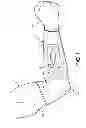 Fig. 02 - Arm Sleeve Carrier