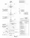 Fig. 02 - Automatic and dynamic information handling system personalization