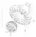 Fig. 01 - Fragrance shower