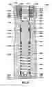 Fig. 04 - Dummy undersea hydraulic coupling member