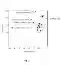 Fig. 04 - POLYMERIZABLE EPOXY COMPOSITION AND ORGANIC EL DEVICE