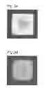 Fig. 10 - Method for manufacturing light emitting device and light emitting device