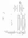Fig. 02 - Imaging element and method of manufacturing the same