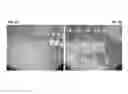 Fig. 03 - Method for the densification and spheroidization of solid and solution precursor droplets of materials using microwave generated plasma processing