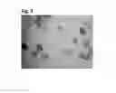 Fig. 06 - Method for the densification and spheroidization of solid and solution precursor droplets of materials using microwave generated plasma processing