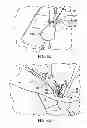 Fig. 07 - Side curtain airbag and method and apparatus for manufacturing a side curtain airbag