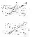 Fig. 11 - Shovel Attachment