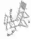 Fig. 03 - Chair to Optimize Sun Exposure