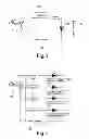 Fig. 03 - Circuit for vehicle lamps