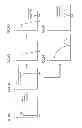 Fig. 08 - Small-circuit-scale reference voltage generating circuit