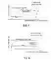 Fig. 05 - Apparatus and method for inspecting infrared solid-state image sensor