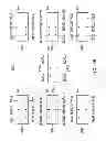 Fig. 07 - Test board