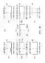 Fig. 08 - Test board