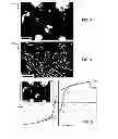 Fig. 04 - NANOSTRUCTURED HIGH-STRENGTH PERMANENT MAGNETS
