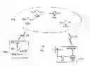 Fig. 01 - Positioning quality of global navigation satellite system receivers
