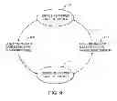 Fig. 10 - Electronic devices with gaze detection capabilities