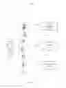 Fig. 02 - Image panning and zooming effect