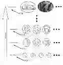 Fig. 01 - Apparatus and method for determining disparity of textured regions