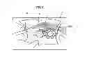 Fig. 03 - DRIVING ASSISTANCE DEVICE FOR A VEHICLE