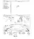 Fig. 28 - Parking Information Collection System and Method