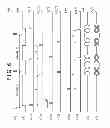Fig. 07 - Image pickup apparatus and processing method for result of image pickup