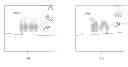 Fig. 01 - Image stabilization techniques for video surveillance systems