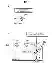 Fig. 06 - Signal processing circuit, imaging device, and program