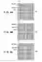 Fig. 08 - Solid-state image sensor, method of manufacturing the same and camera