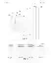 Fig. 12 - Mobile device and optical imaging lens thereof