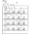 Fig. 46 - DISPLAY DEVICE AND MANUFACTURING METHOD THEREOF