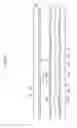 Fig. 03 - Liquid crystal display device