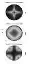 Fig. 22 - POLARIZER, LIQUID CRYSTAL DISPLAY AND MANUFACTURING METHOD THEREOF