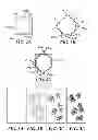 Fig. 03 - SWITCHABLE TRANSPARENT DISPLAY