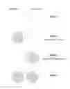 Fig. 01 - Shutter eyewear