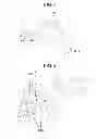 Fig. 08 - Auto-focus device, projection lens device, and image projection apparatus
