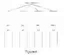 Fig. 05 - Methods, systems and computer program products for processing images generated using Fourier domain optical coherence tomography (FDOCT)