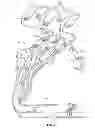 Fig. 03 - Citrate detector for blood processing system