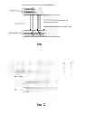 Fig. 02 - Raman microscope and Raman spectrometric measuring method