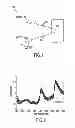 Fig. 02 - OPTICAL MEASUREMENT OF AN ANALYTE