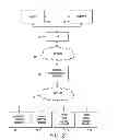 Fig. 03 - Networked printing systems for providing a la carte reproduction services