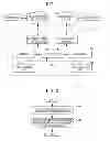 Fig. 02 - Information transmitting apparatus and method, and non-transitory computer readable medium
