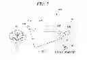 Fig. 02 - Holographic imaging