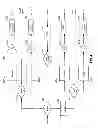 Fig. 05 - DP-QPSK demodulator