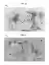 Fig. 15 - Anti-Reflective Coatings Comprising Ordered Layers of Nanowires and Methods of Making and Using the Same