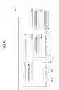 Fig. 06 - Servo information recording method and magnetic storage apparatus