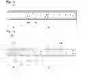 Fig. 09 - Optical member, display device having the same, and method of fabricating the same