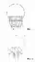 Fig. 04 - Illuminating device having folding solar panels