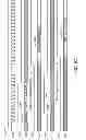 Fig. 17 - Memory with output control